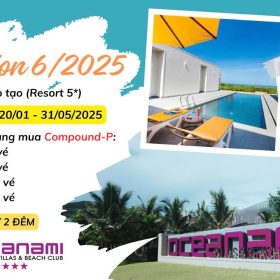 Chinh sach dai ly chuong trinh uu dai he 2025 900