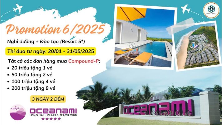 Chinh sach dai ly chuong trinh uu dai he 2025 900